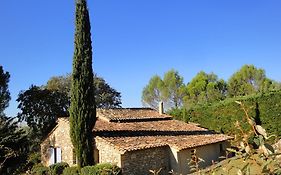 Les Olives